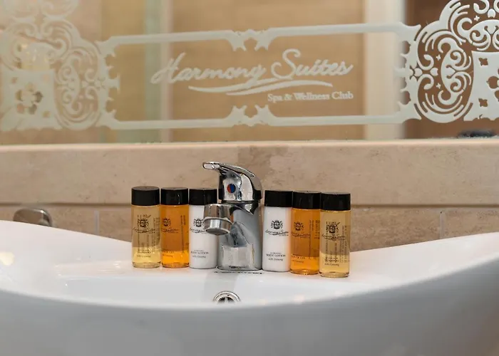 公寓式酒店 Harmony - Monte Carlo